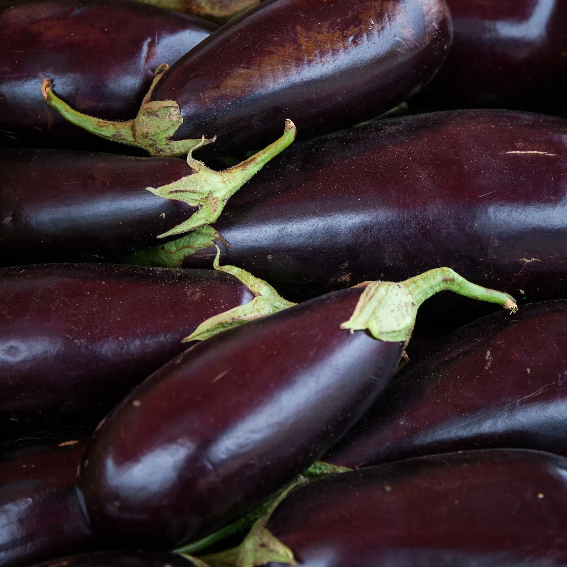 Aubergine - Kg