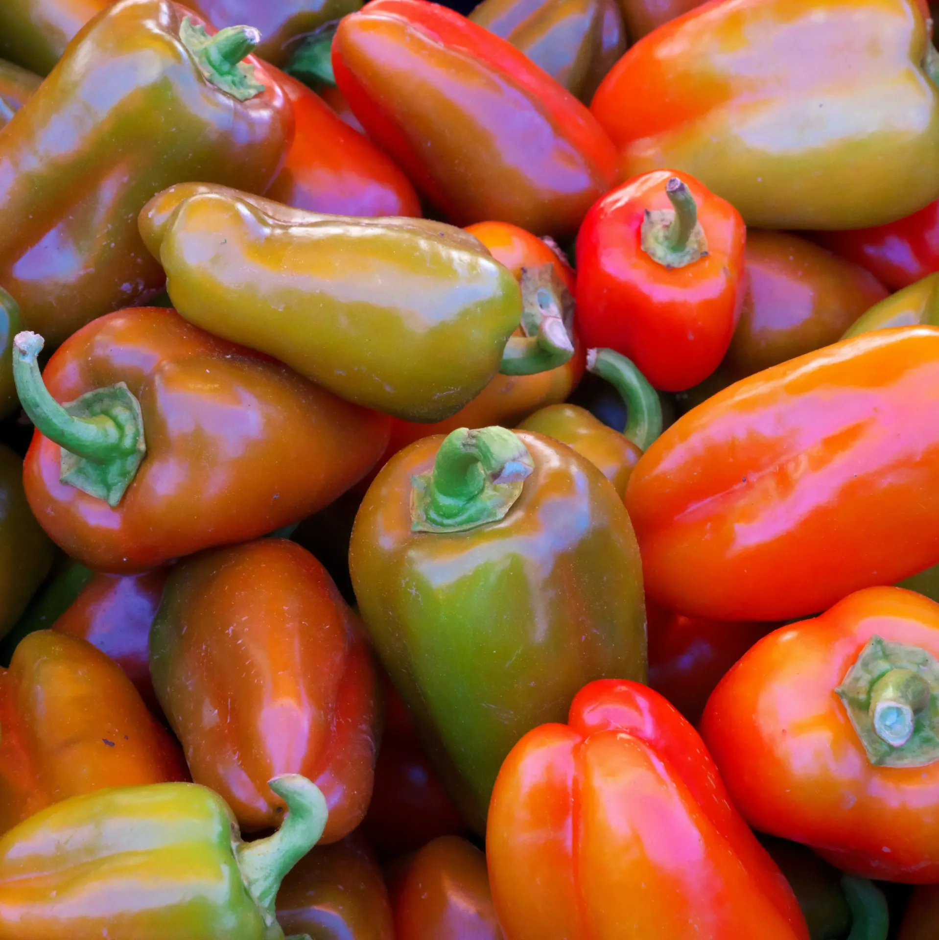 Pepper - Kg (1kg)