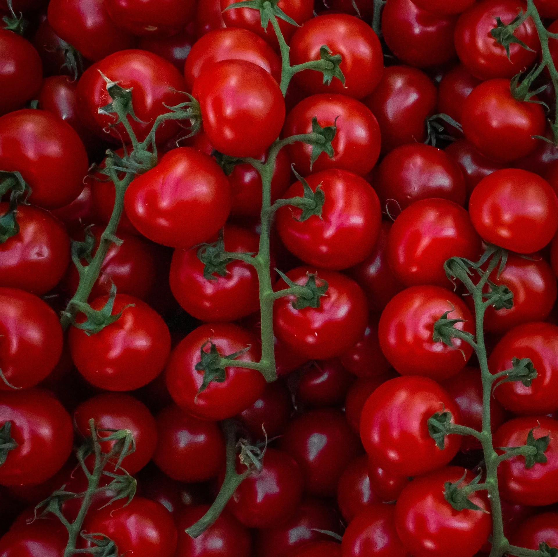 Tomates cerises mix - Kg